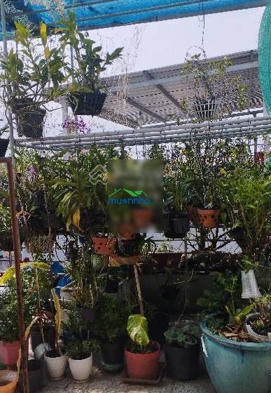 Bán 3 tầng, bùi văn ba, quận 7, sổ hồng riêng, giá 4,49 tỷ - 3