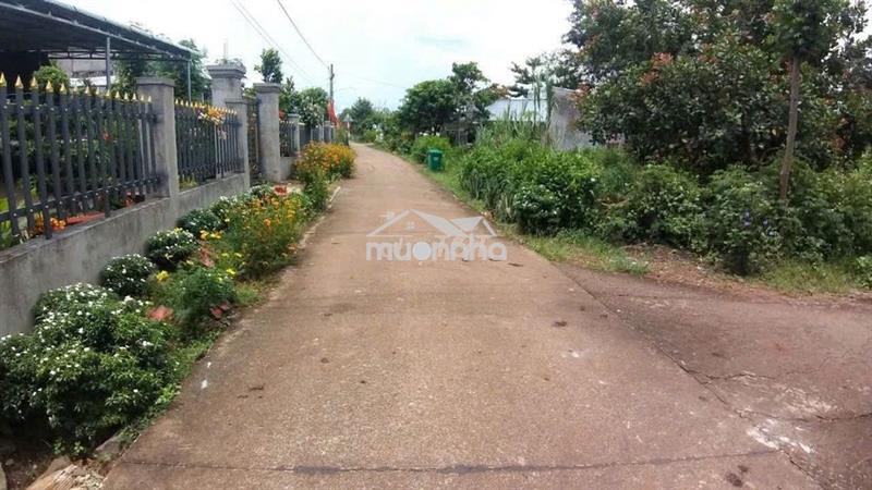 Chính chủ bán đất 2mt  ( xuân tây cũ ), cẩm mỹ, cách dt765 chỉ 50m