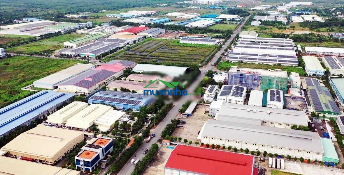 1tỷ2 dãy trọ sát bên vinhomes hóc môn (dt5x20) sổ hồng riêng - 3