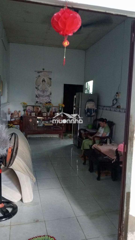 Vợ chồng tôi về quê chăn nuôi  - 3
