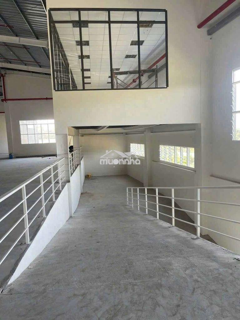 Cho thuê xưởng tân hiệp tân uyên bình dương - 3
