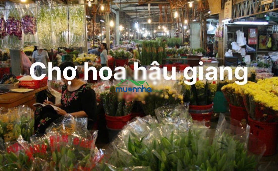 Bán nhà quận 6 - hậu giang - cách mặt tiền 50m - khu vực kinh doanh sầm uất - nhỉnh 4 tỷ. + dt: - Ảnh 3