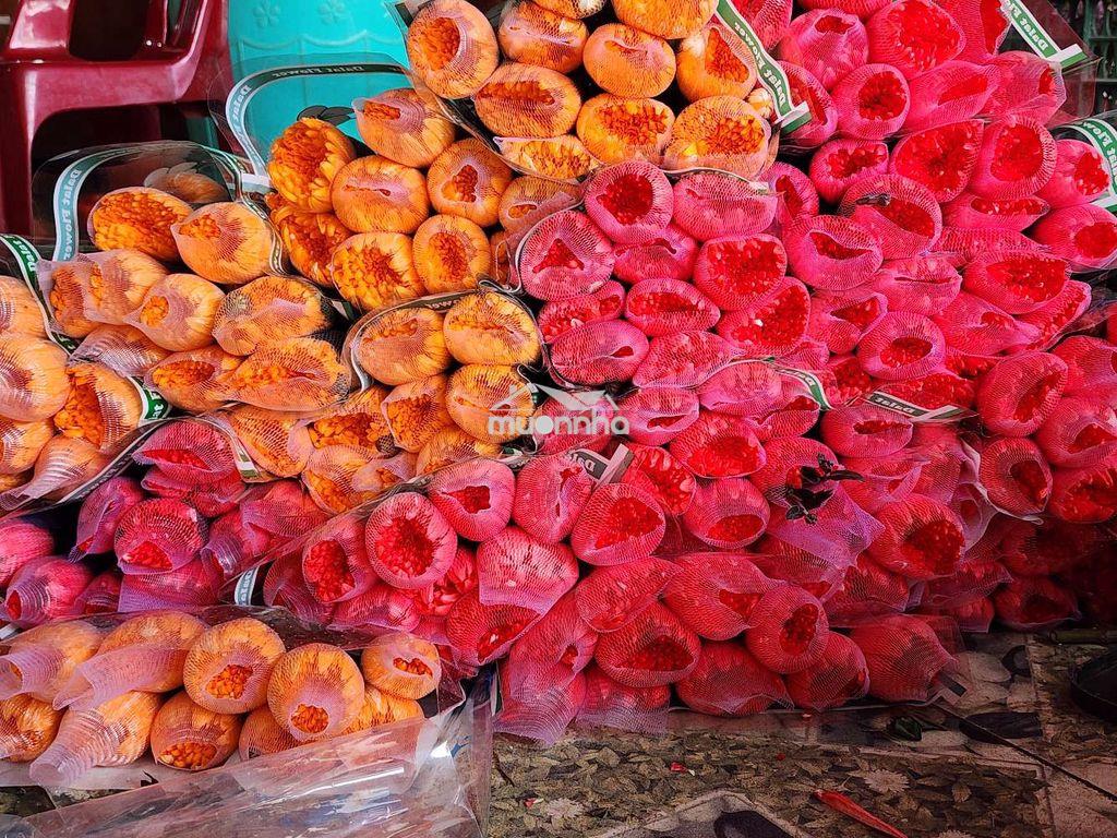 32m mặt tiền  - 3