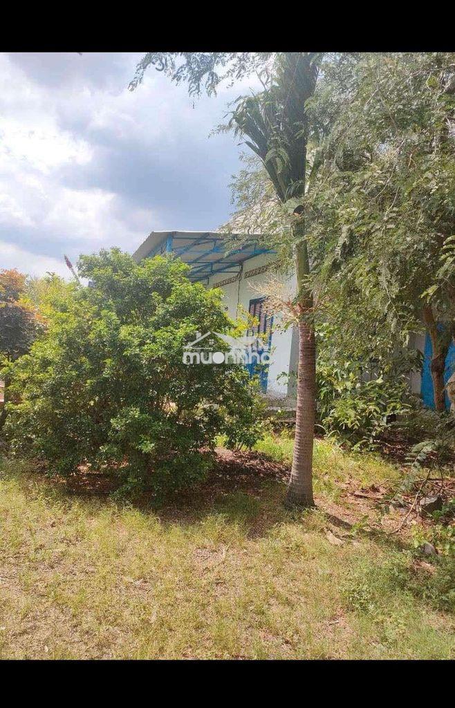 Cần bán đất gần khu du lịch núi bà đen - 3