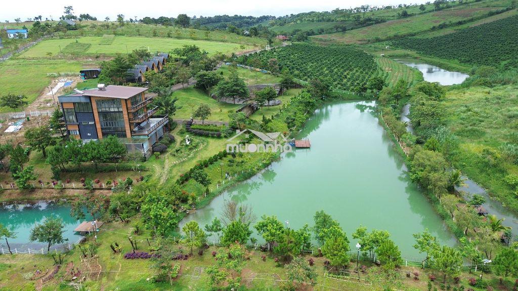 Sở hữu đất nền nghỉ dưỡng view suối cực đẹp - 2