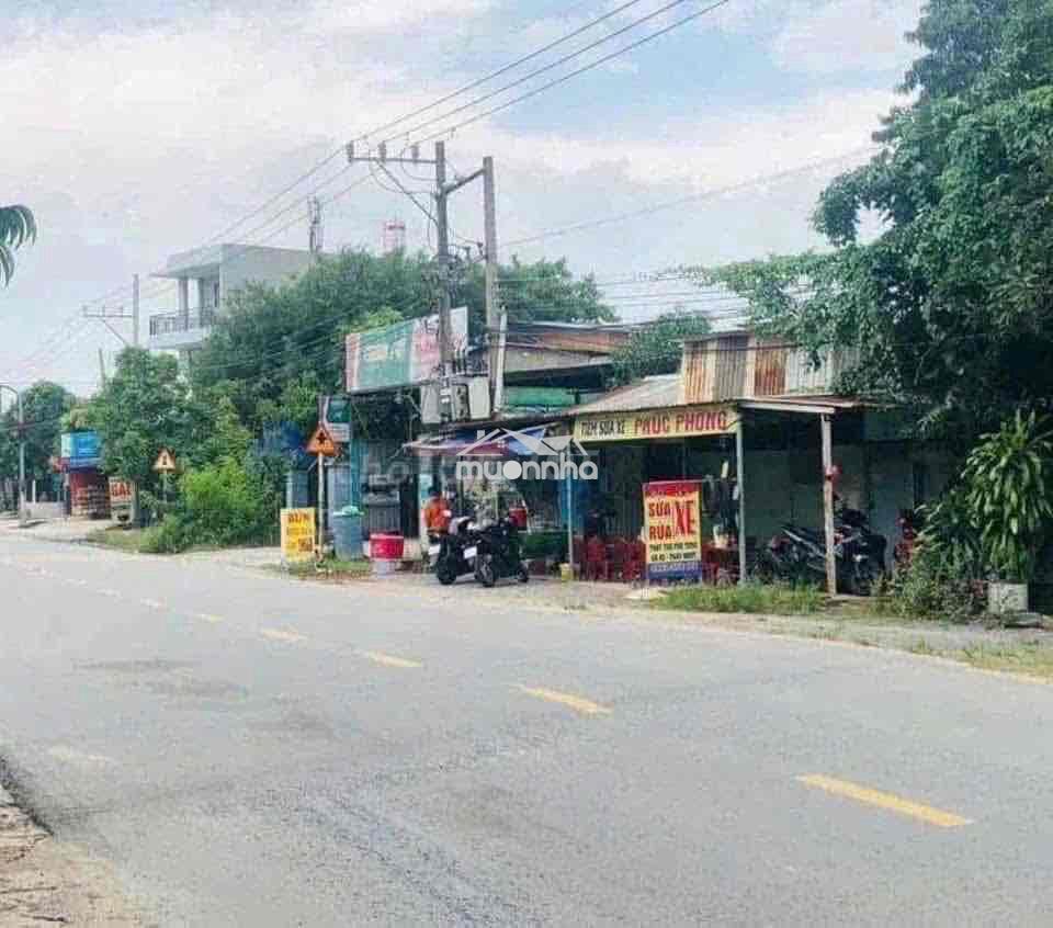 Đất thổ cư giá rẻ - 3