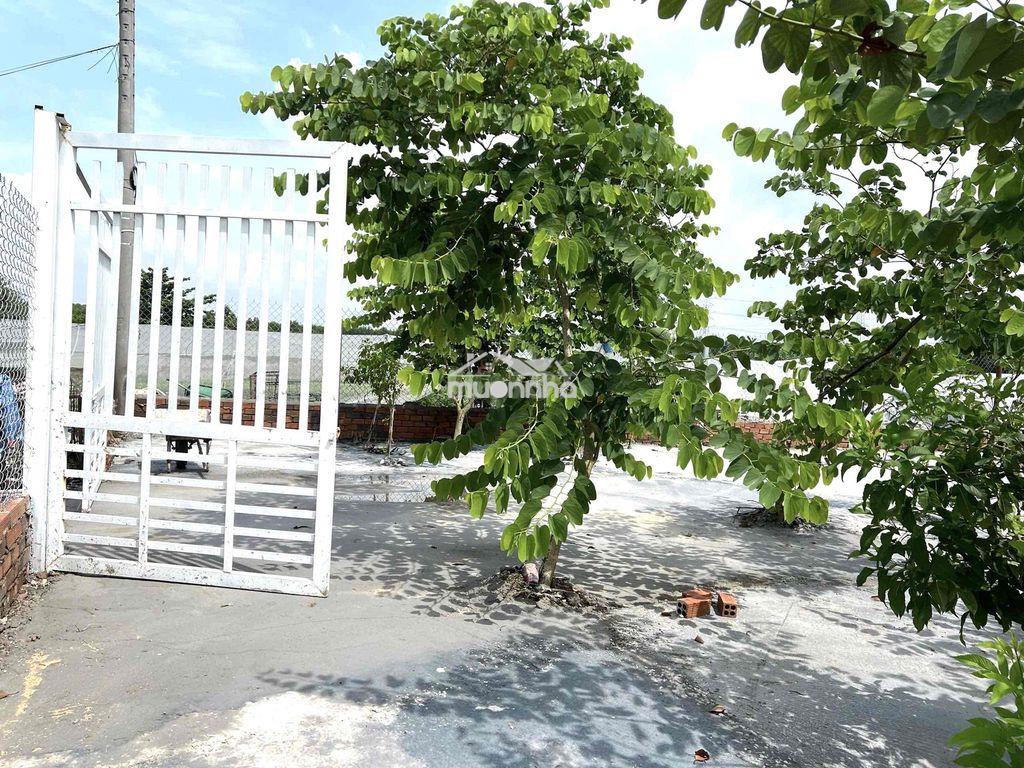 Đất thổ cư 244m2 p trảng dài dnai *** - 2