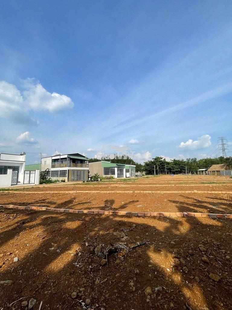 115m2 đất thổ cư hẻm bê tông 5m sát nguyễn hoàng và gần chợ sông trầu - 3