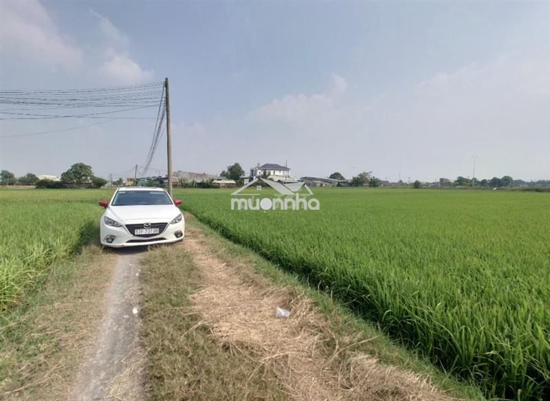 Bán đất thổ cư đấu lưng 823d, xã đức hòa đông 