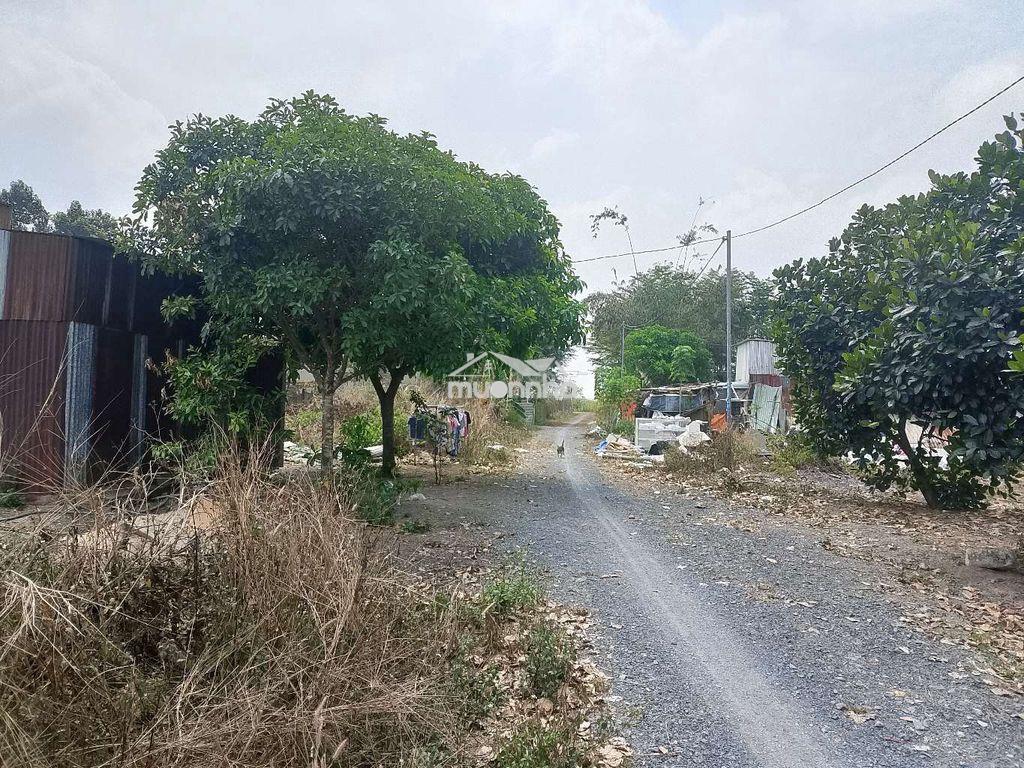 Đất ở nông thôn  - 2