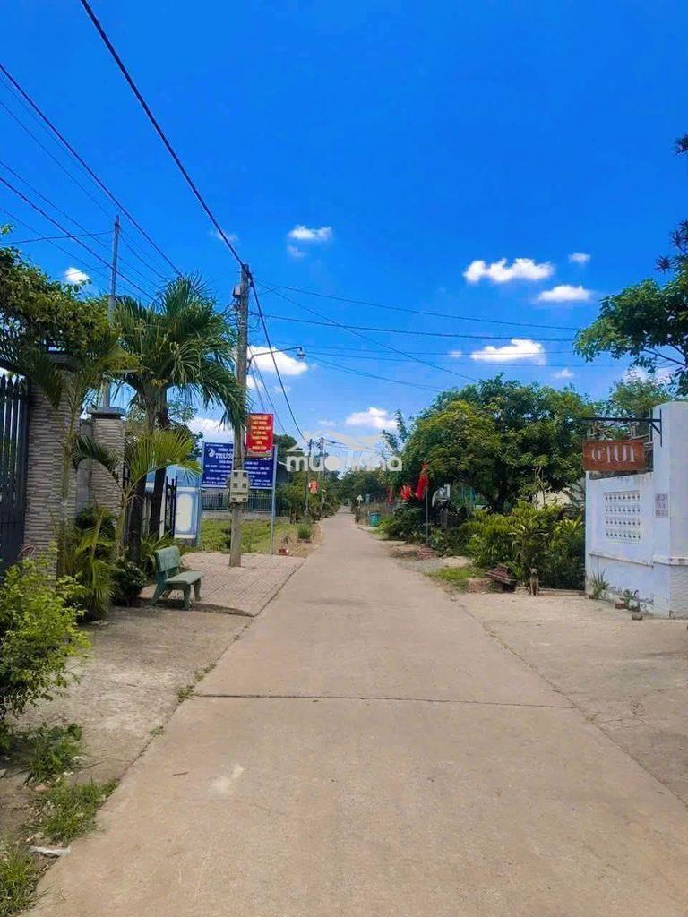 Chính chủ bán đất 2mt  ( xuân tây cũ ), cẩm mỹ, cách dt765 chỉ 50m - 3