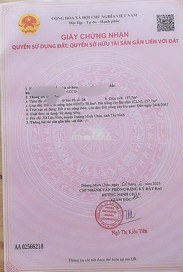 Gia đình tôi có miếng đất lộc ninh cần bán nhanh - giá 339tr (có tl) - 4