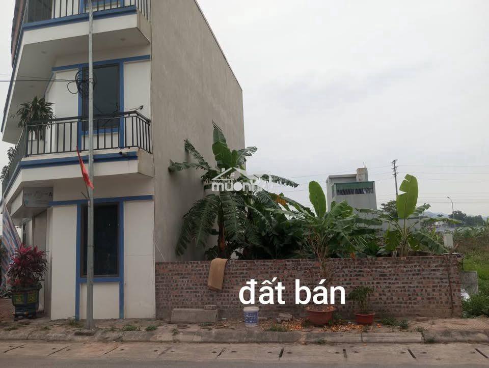 Chính chủ- đất siêu đẹp 150m2, 2 mặt tiền gần sân bay nội bài-hà nội - 4