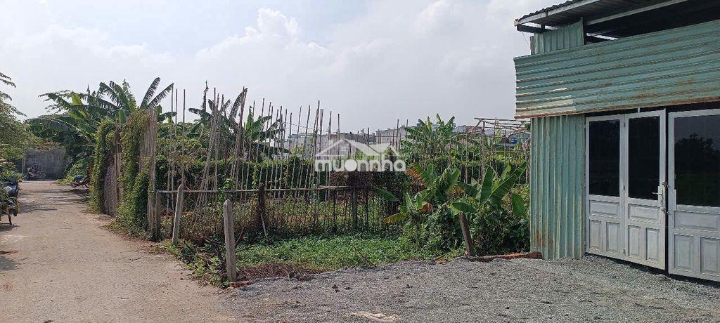 Bán nền đất đường bình mỹ, 5x10m dựng nhà ở liền. - 3