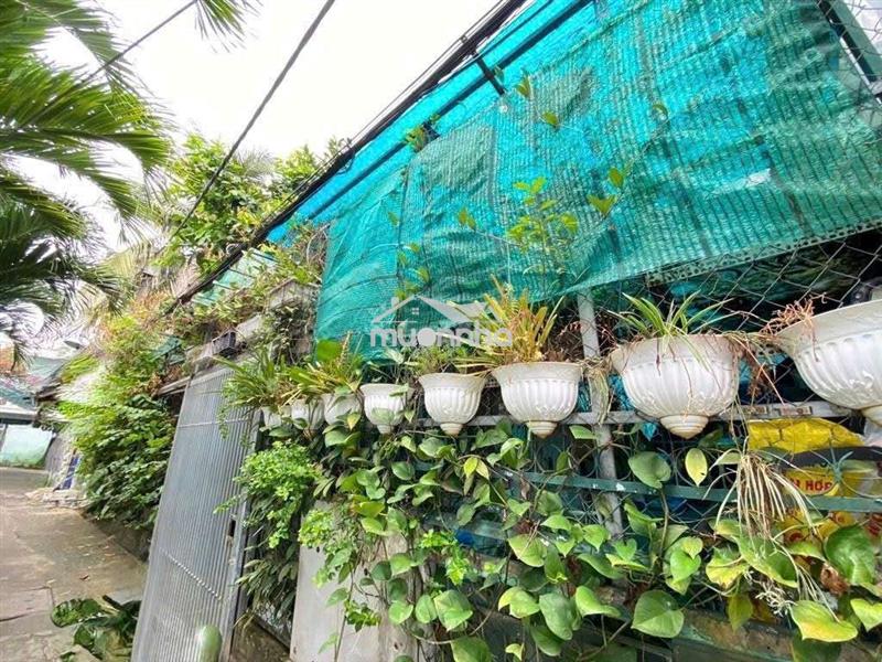 Bán nhà sân vưon 142m2 ngang 11,5m chỉ 1 sẹc hẻm 3 gác 1172 htp