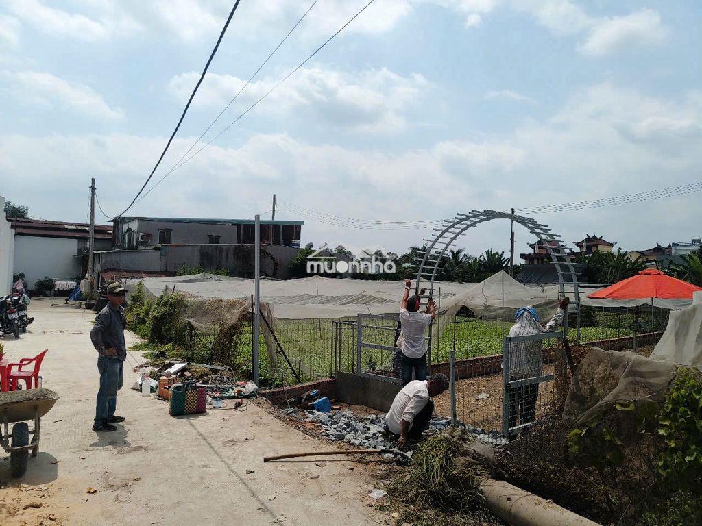 Tôi chính chủ cần bán 75 m đất thổ cư 1/tân hiệp 18 - 4