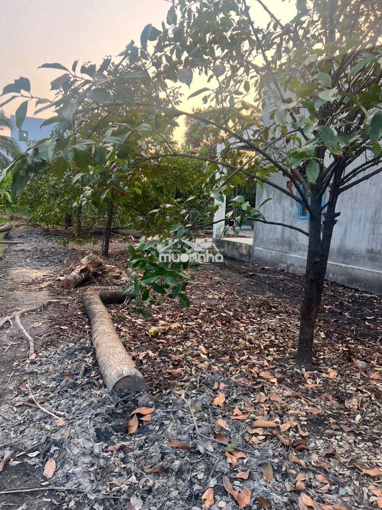 Bán 3.600 mét anh sơn thuận an bình dương