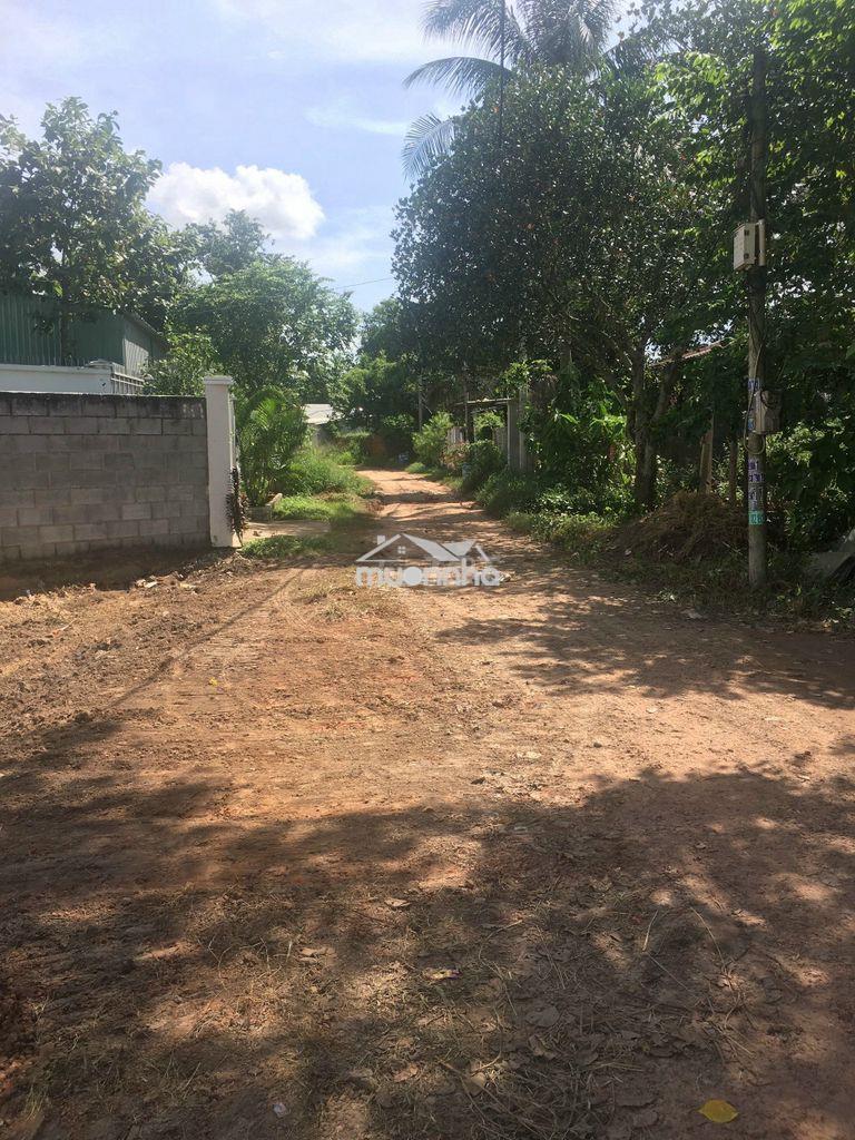 Bán đất 12x35=403,3m2 sổ riêng, xã phước thạnh, tỉnh lộ 7 - 4