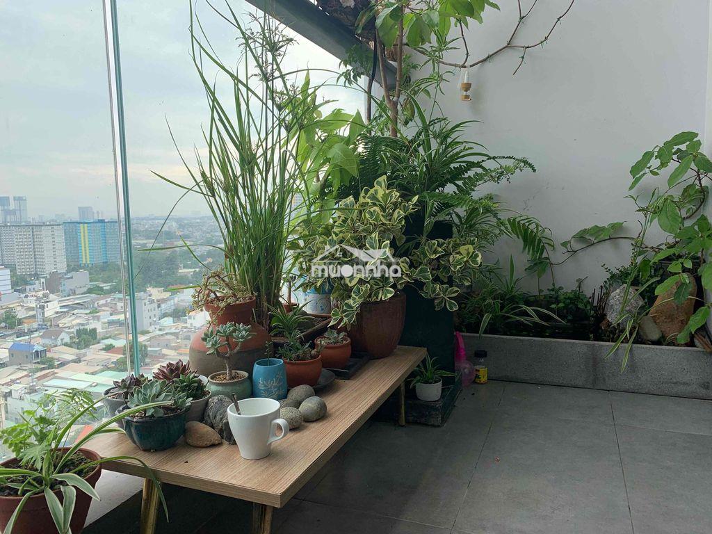 Căn hộ chính chủ cần bán - 3