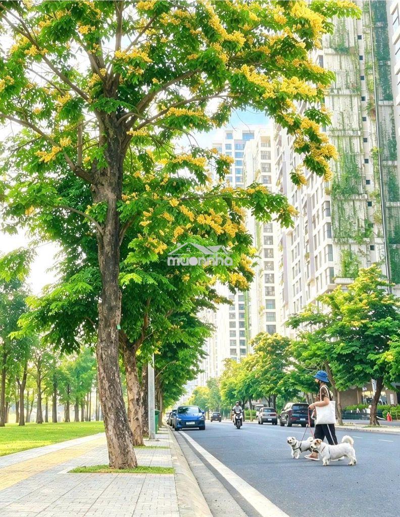 Giỏ hàng căn hộ t7 studio,1pn+, 2pn, 3pn, 3pn+ plus vinhome grand park - 4