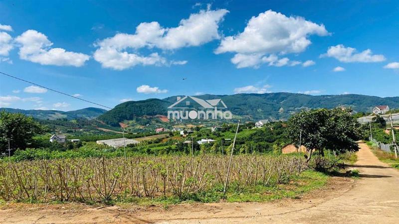 Đất nghỉ dưỡng gần đà lạt view đẹp tại nam ban lâm hà
