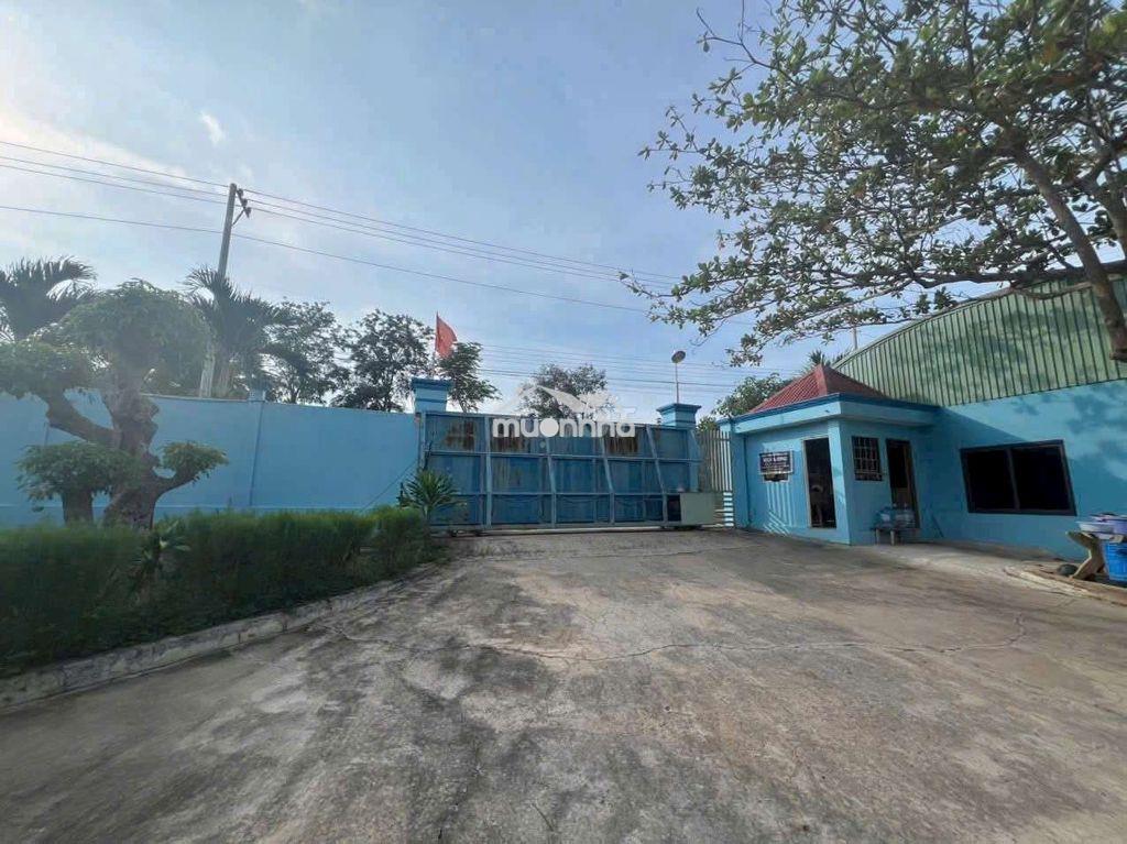 CHO THUÊ XƯỞNG 11.000M2 ĐẤT CUỐC TÂN UYÊN.BÌNH DƯƠNG - 4