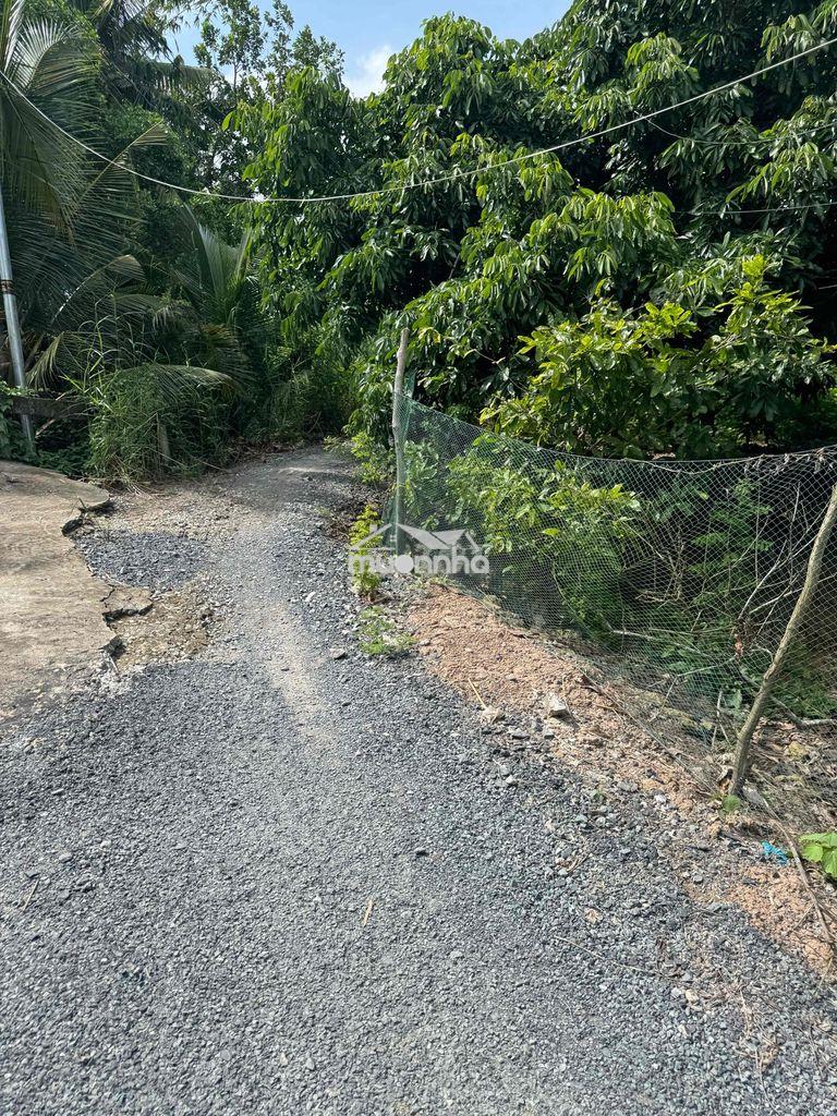 Bán nhanh đất ruộng 5220m2 - 2
