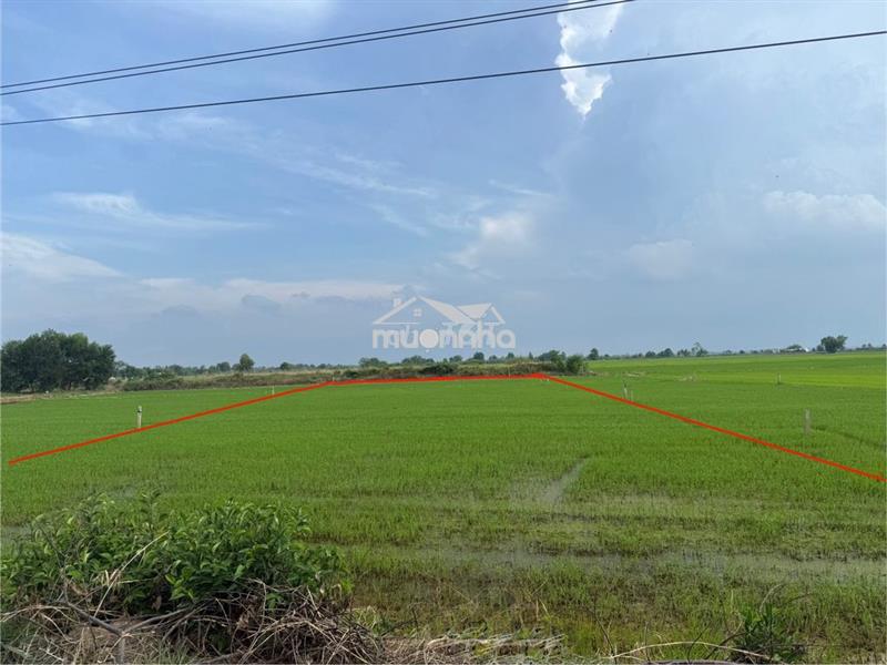 Chính chủ bán đất mặt tiền ql22b nằm giữa 2 khu công nghiệp