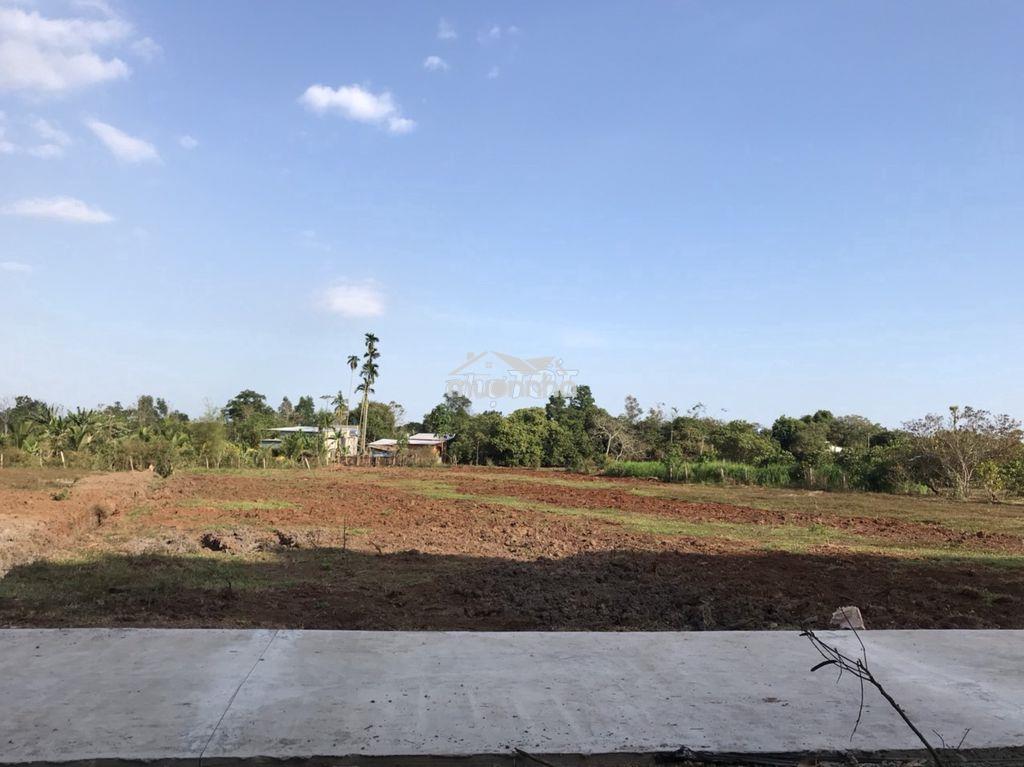 Bán lô đất tâm huyết 4050m2, hẻm xe hơi, gần ngay ubnd xã bảo bình - 3