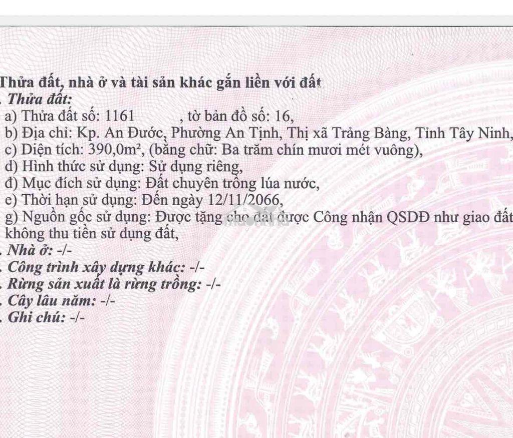 Cần bán - 3