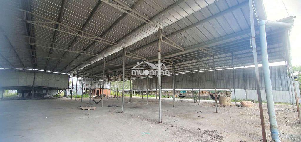 Chính chủ cho thuê kho xưởng trảng bàng giá rẻ - 4