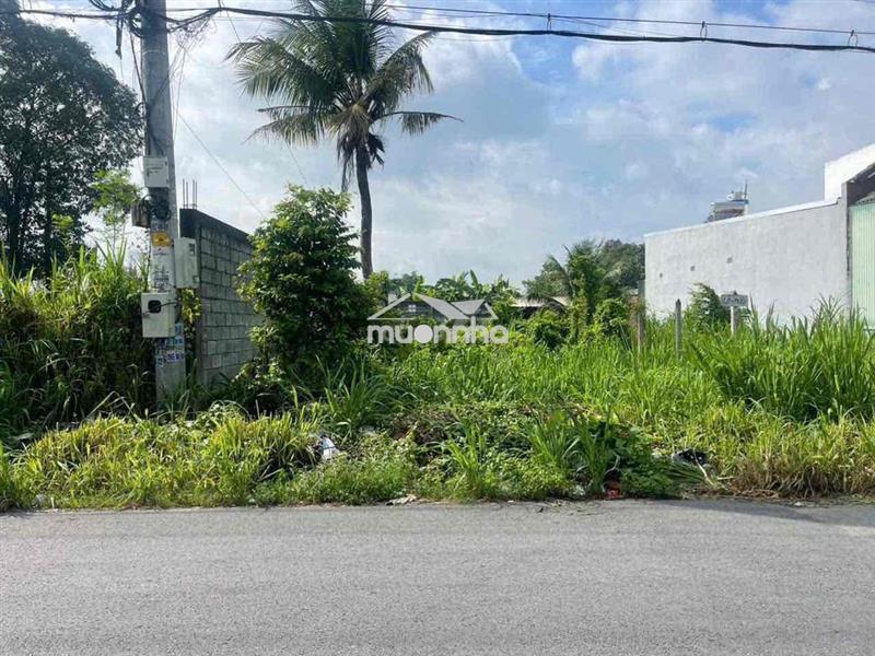 Bán đất mt nhựa tân thông hội củ chi 252m2 thổ cư giá 780 triệu