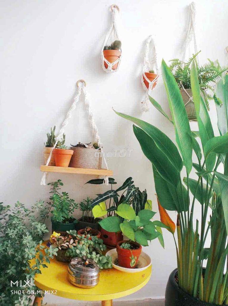 Cho thuê căn hộ 2pn đầy đủ nội thấy giá tốt, chốt ngay kẻo lỡ - 3