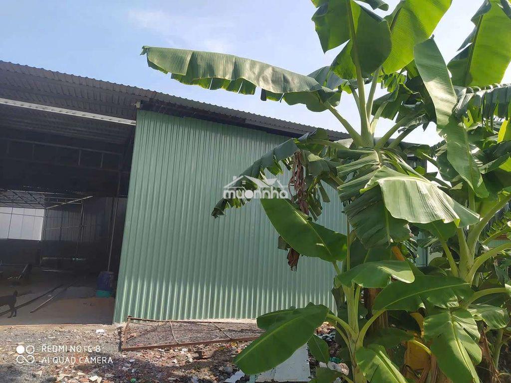 Xưởng dĩ an 1500m/30tr có 3 pha sân rộng - 3