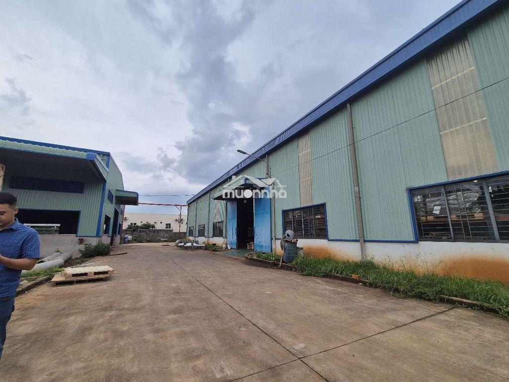 Nhà xưởng kcn long khánh 10.000m² giá chỉ 32,5 tỷ - 4