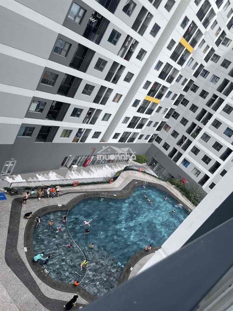 Cần bán gấp căn hộ