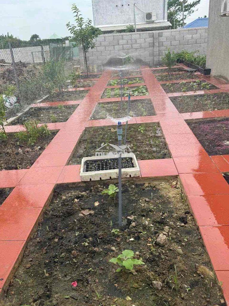 🌿 Nhà vườn long khánh – sống xanh, nghỉ dưỡng mỗi ngày 🌿  🏡 - 4