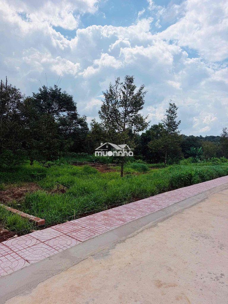 Bán đất mặt tiền 60m , phường long khánh - tp đồng nai