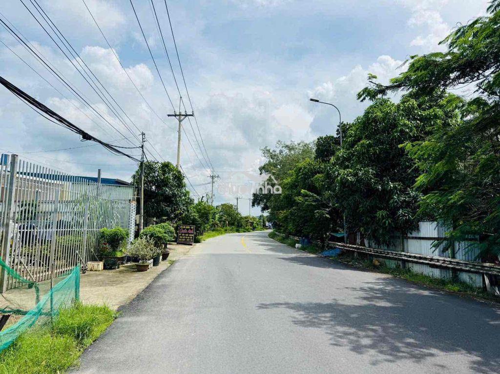Chính chủ cần bán gấp lô đất thổ vườn diện tích lớn mt nguyễn văn khạ - 4