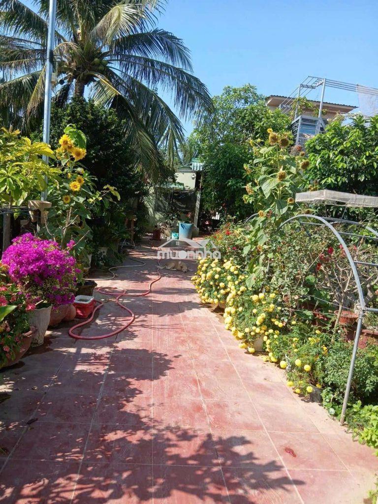 Đất vườn có thổ cư - 3