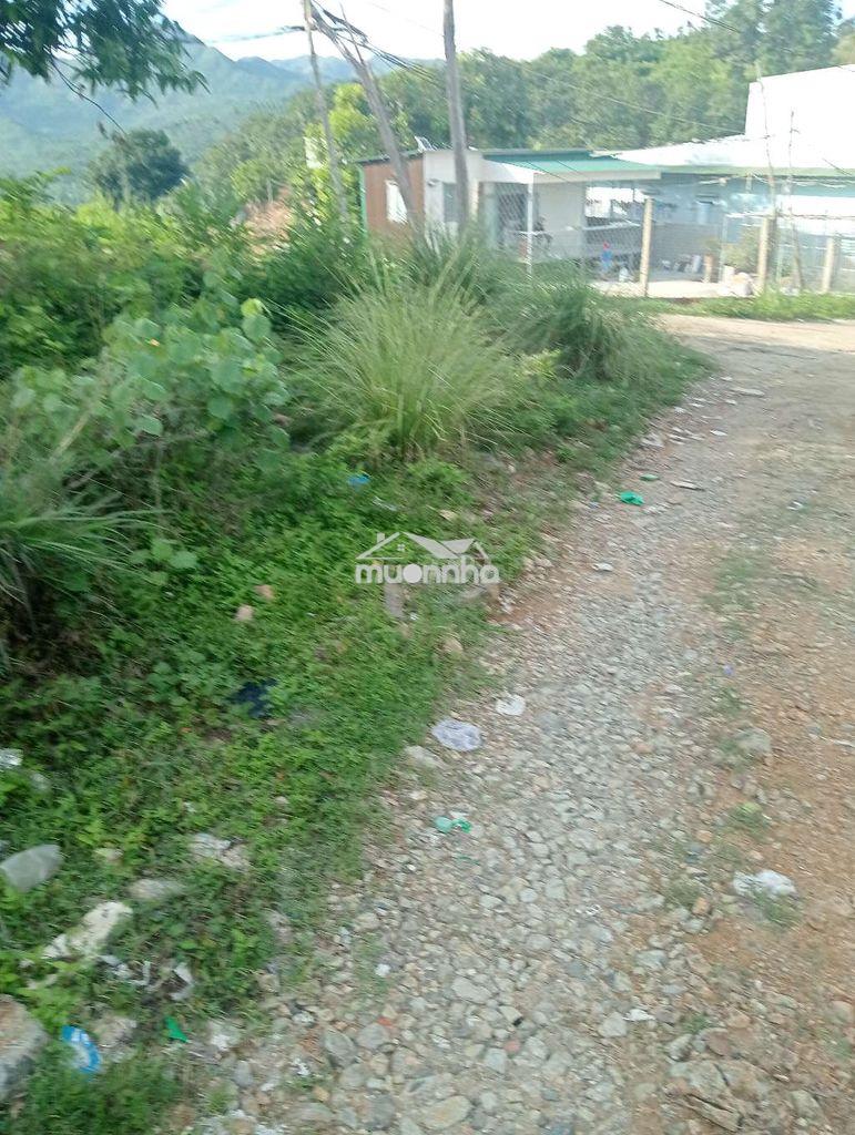 Cần tiền chữa bệnh cần bán gấp - 3