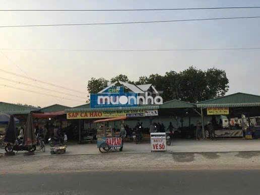Đất đẹp gần chợ bến lớn tân định 595m2/730tr mặt tiền đường hợp đầu tư - 2