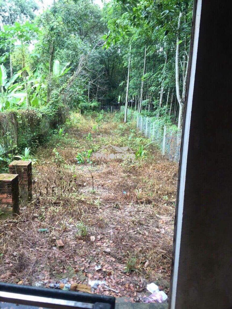 Bán nhà mặt tl6, an nhơn tây, củ chi - diện tích 500m2, thổ cư 120m - 3