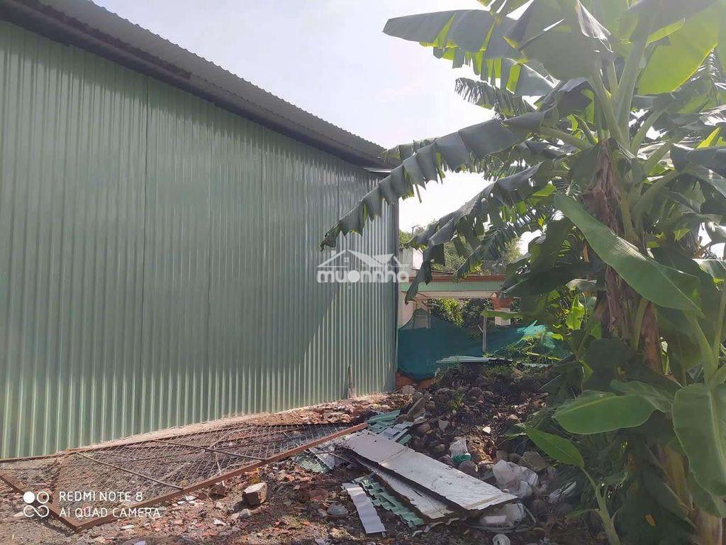 Xưởng dĩ an 1500m/30tr có 3 pha sân rộng - 2