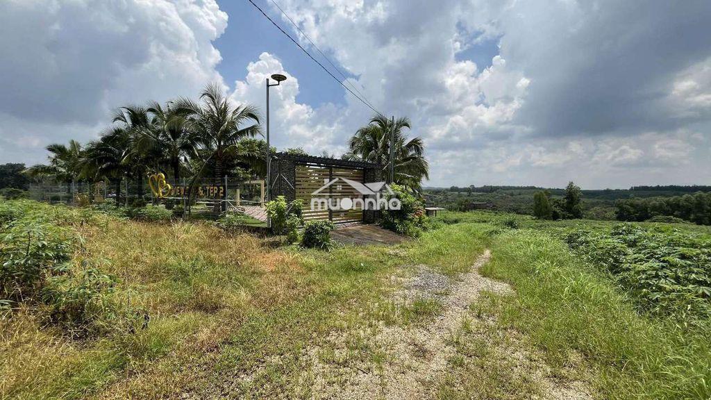 Chính chủ bán 6,100m2 đất làm kho bãi,sân bay long thành, 2,5 tỷ 1 sào - 2