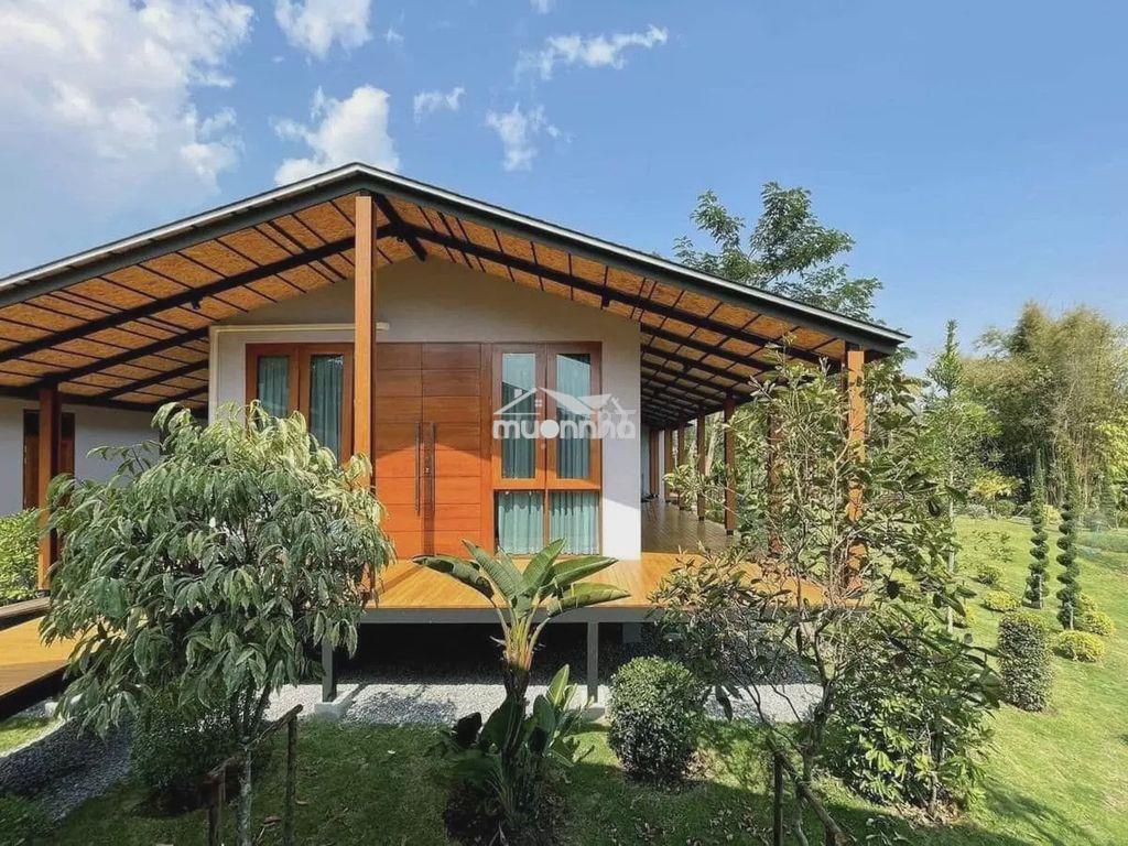 🌿 Chạm thiên nhiên hồ trị an – 1150m² đất view hồ, giá chỉ 499 triệu - 2