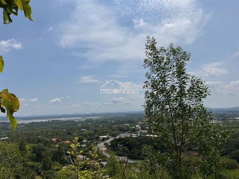 🌿 689tr – 1328m² vườn trái cây cạnh sông la ngà - cách nhựa 200m