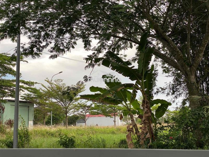 Cần bán lô đất b8 - 28 kdc daresco đức hoà (tây ninh)