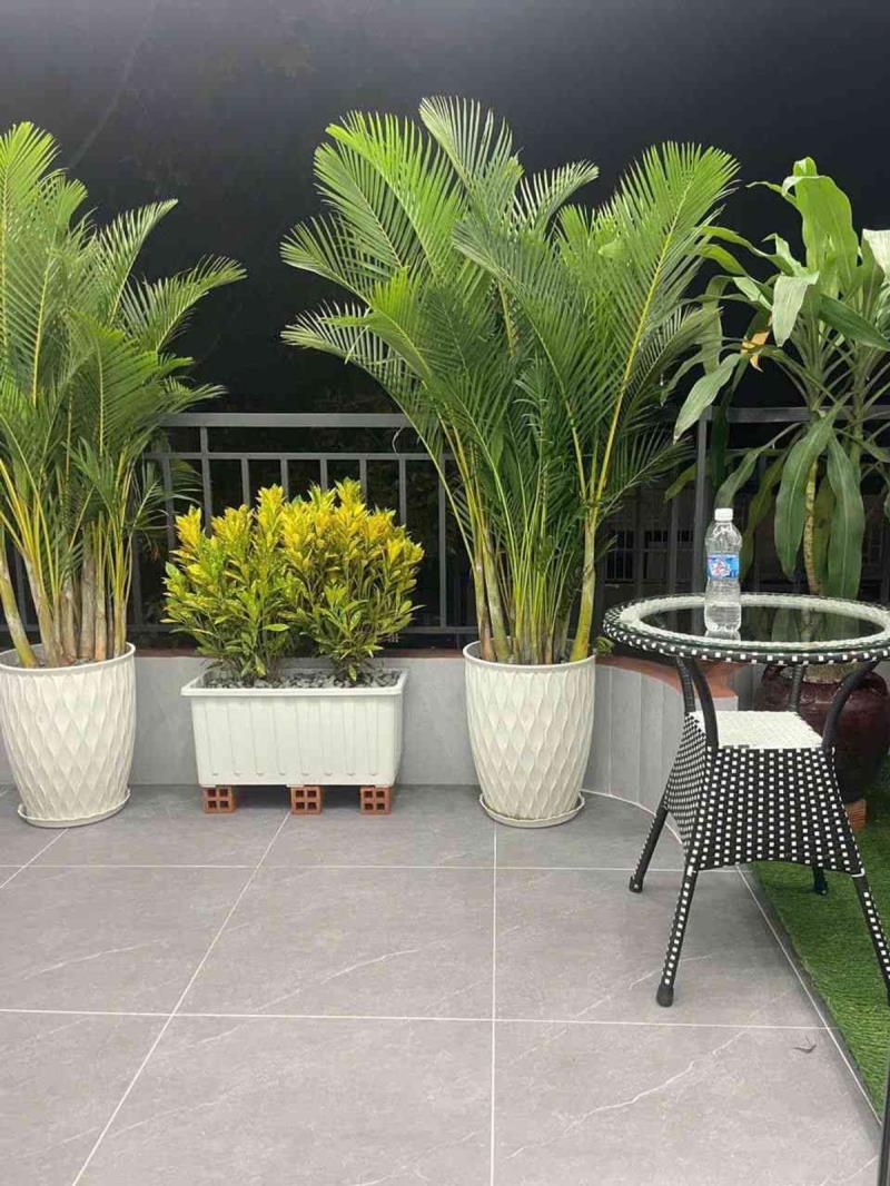 🔥  Nhà  mới siêu đẹp 5 tầng ngay nguyễn ảnh thủ - 2