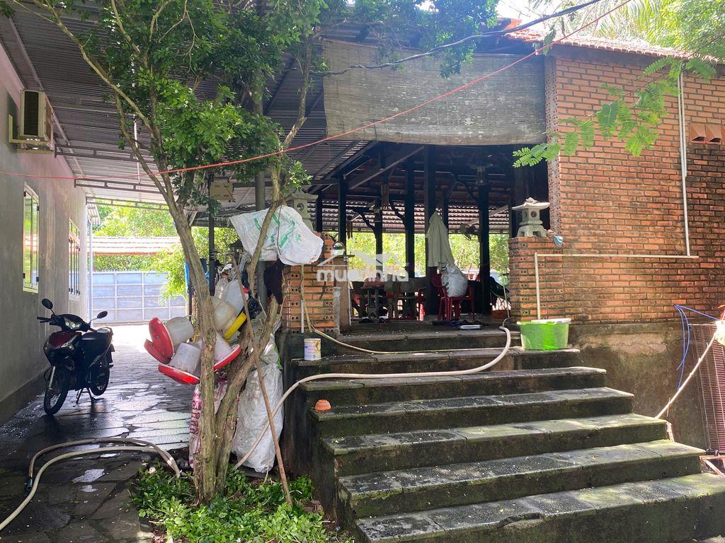Bán vies nghi dưỡng 1,4ha có đầy đủ tiện nghi,mua vào là ở.giá rẽ - 3